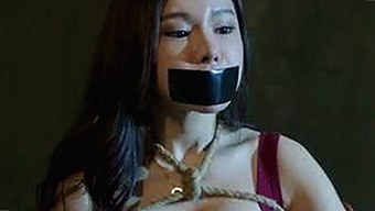 探秘91🍆🍑🔞❌❌❌一起草wwwcom91免费版：了解背后的热点与趋势