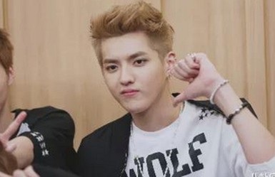 探索www91与免费版：潮州市热门免费资源大比拼