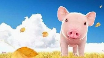 汕尾市居民关注：高清🈚码🔞❌♋毛片官方版的最新动态