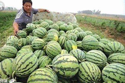 探索香蕉视频2026最新版，开启更多精彩娱乐体验