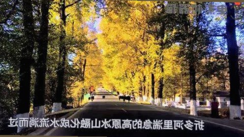 最新揭秘：17c嫩草51久久91嫩草漫画官方版引发热议