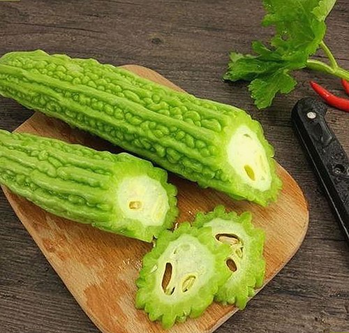 91免费2026最新版：尽享高清影视内容新体验