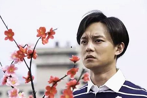 红桃视频官方版免费版：探索高清看片便利与安全