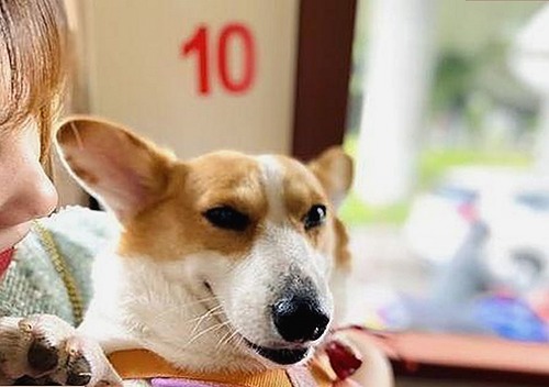 揭秘17·c1起草背后的复杂背景与行业动态