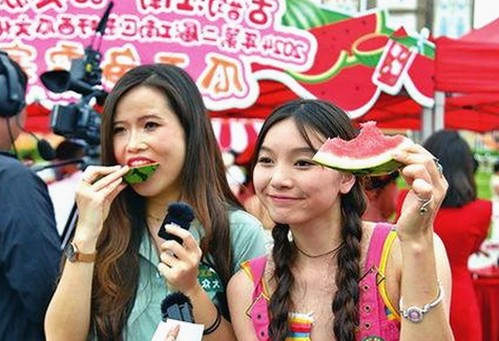 www91免费版：了解最新的在线观看平台和相关资源