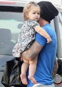 探索茄子视频官方版下载：守护您的娱乐体验