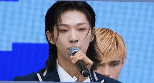 成人网免费版：探索最新资源与安全保障