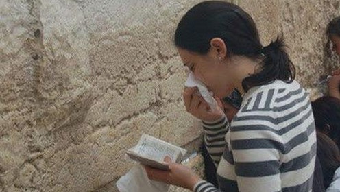 从幕后到前台：www.199麻豆免费版官方版的变化与新机遇