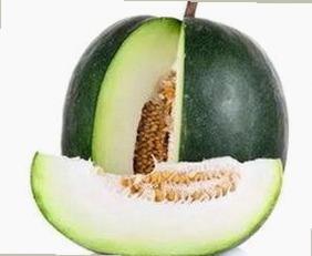 明星动态揭秘：如何通过“91下载免费版下载”获取最新娱乐资讯