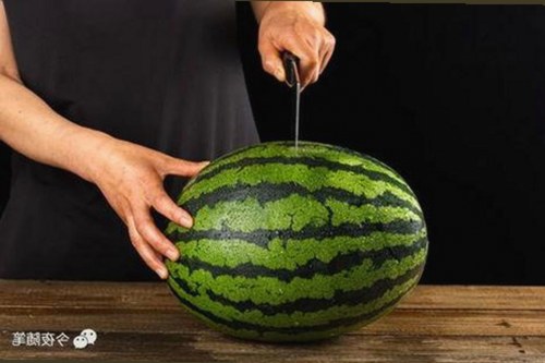 揭秘撸撸射免费版下载：满足您的多样需求