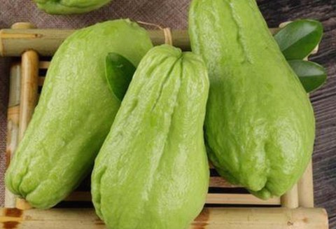 全面解析：如何安全便捷地进行看片免费版下载