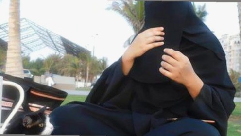 探索18+触摸互动游戏+黄油苹果免费版下载的最新玩法