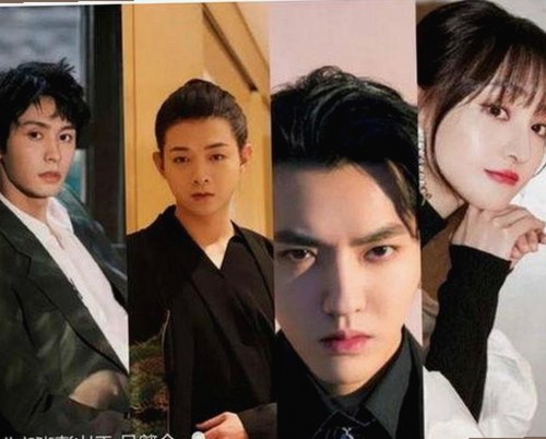 蘑菇视频官方版下载：丰富内容资源与多平台整合