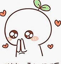 全面解析：爱妻官方百度视官方版下载的最新动态与应用优势