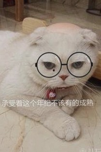 已满十八在线观看高清电视剧推荐官方版正版下载：最新动态解析