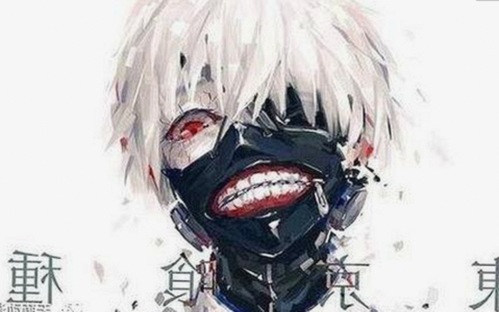 探秘：91网站官方版下载免费版及其相关软件的最新动态