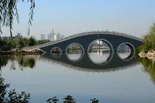 深入了解：51吃瓜网官方版下载的最新动态与应用背景