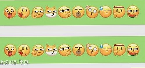 揭秘：www91免费版官方版的最新动态与资源解析