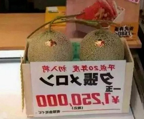 最新www.199麻豆免费版：探索成人内容的多样选择