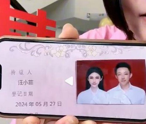 揭秘嫩草17.c 91免费版官方版的最新资源与发展