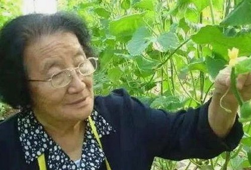 最新正版日批视频免费版带你了解高清内容与资源下载