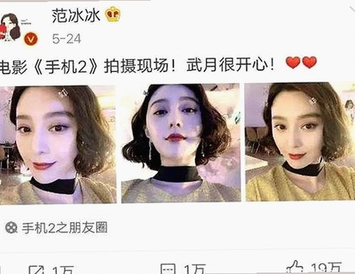 人or狗dna与猪ordna的配合与防治官方版下载：淄博市最新动态