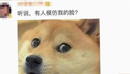 www.199麻豆官方版：最新内容与行业现状分析