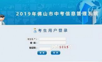 探索《ww我的快乐在哪里与免费版》：享受无限精彩的娱乐体验