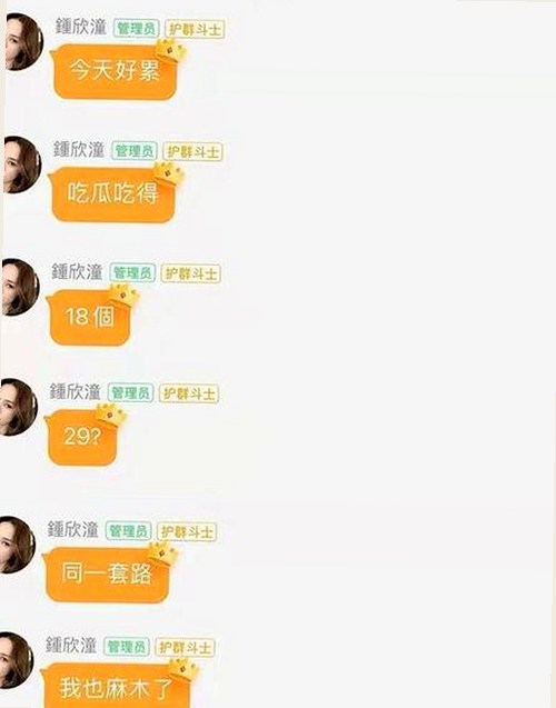 深入了解：撸撸射官方版的现状与资源下载指南