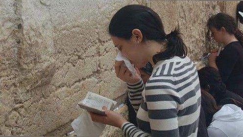 最新西瓜视频免费最新版下载引领在线观看新体验