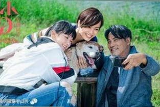丁香花影院免费观看电视剧锦绣未央官方版免费版：最新观看体验解析