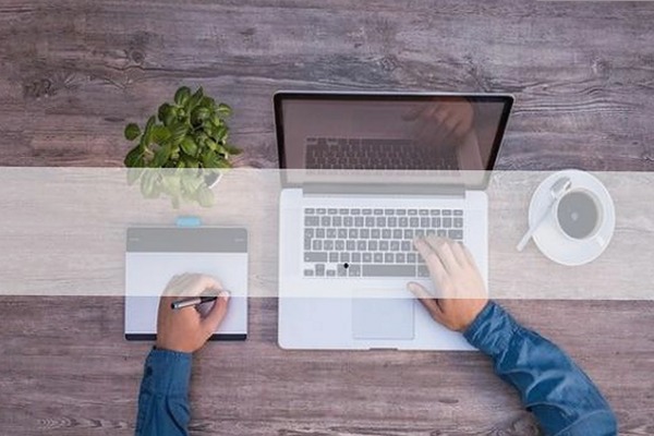 关于91免费最新版下载的最新动态与背景分析