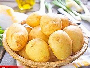 宿州市最新A片官方版免费版资源解析
