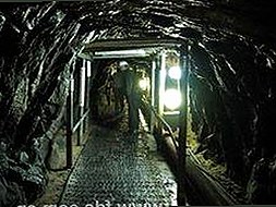 最新动态：91网站官方版现已全面升级，提升用户体验