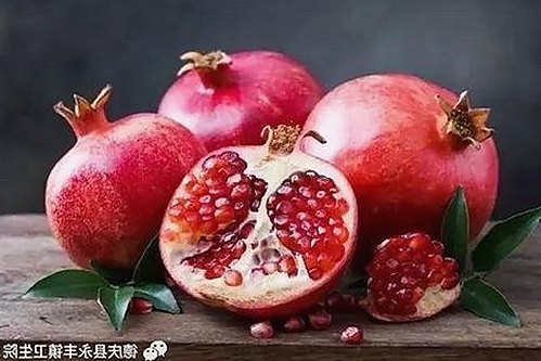 www.91色 萝网站樱花最新版：最新版本引发热议