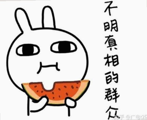 如何便捷获取www.199麻豆最新版下载：湛江市用户必看指南