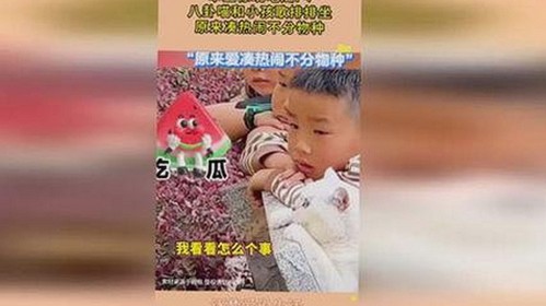 孝感市黄页网站现状：数字化推动本地企业新发展