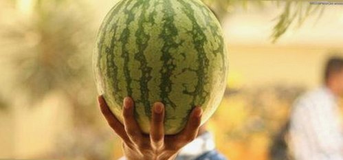 91下载官方版免费版：安全稳定的安卓应用获取途径