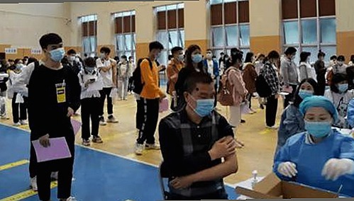www91最新版下载：丰富内容体验的最新版本推荐