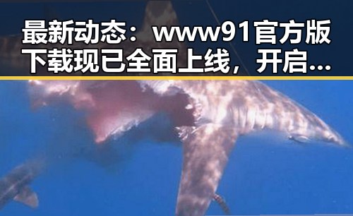最新动态：www91官方版下载现已全面上线，开启便捷体验