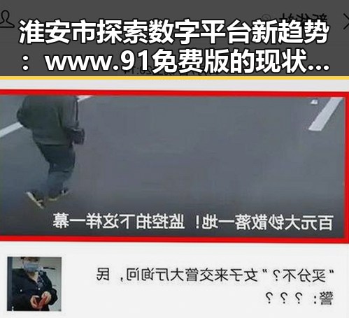 淮安市探索数字平台新趋势:www.91免费版的现状与未来