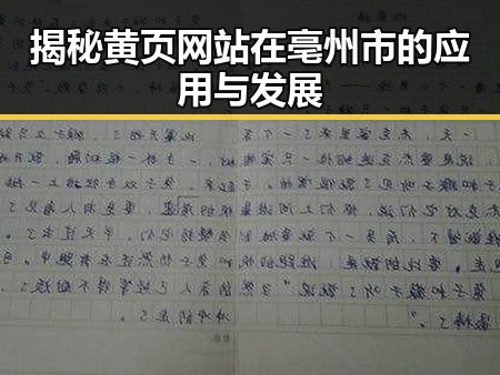 揭秘黄页网站在亳州市的应用与发展