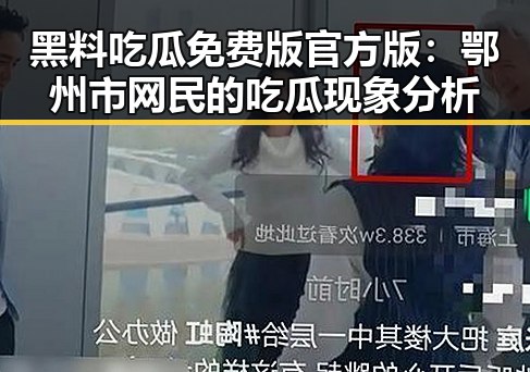 黑料吃瓜免费版官方版：鄂州市网民的吃瓜现象分析