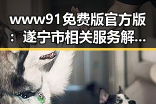 www91免费版官方版：遂宁市相关服务解析与应用体验