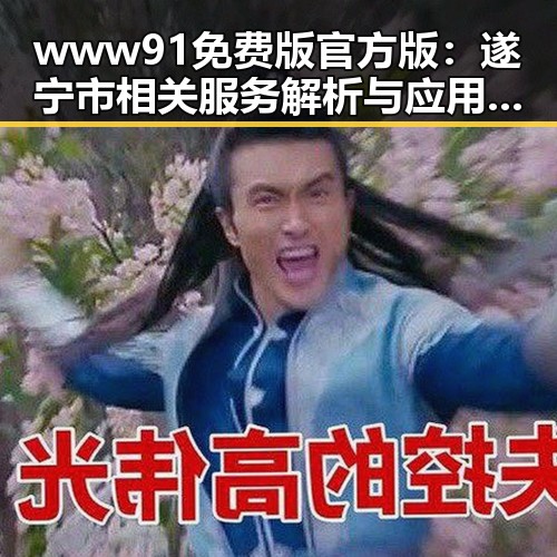 www91免费版官方版：遂宁市相关服务解析与应用体验