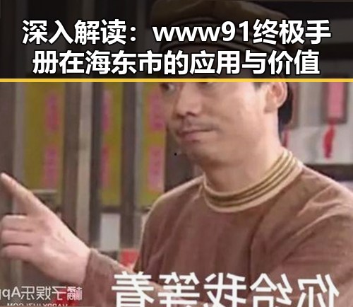 深入解读：www91终极手册在海东市的应用与价值