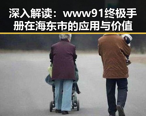 深入解读:www91终极手册在海东市的应用与价值