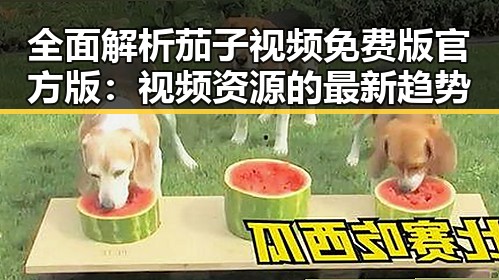 全面解析茄子视频免费版官方版:视频资源的最新趋势