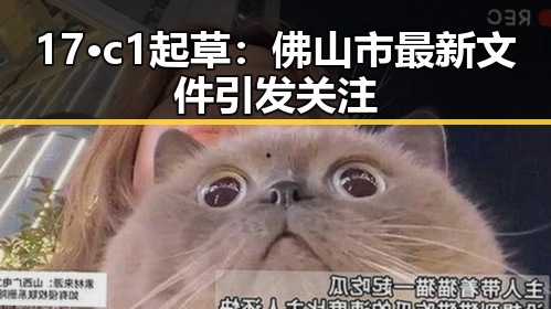 17·c1起草：佛山市最新文件引发关注