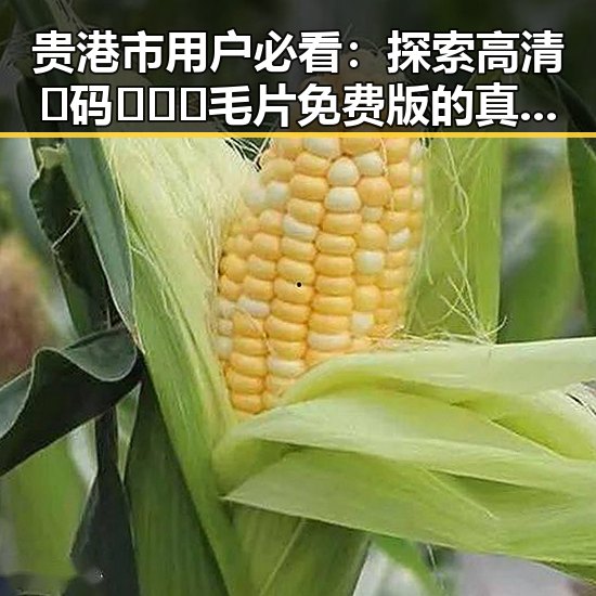 贵港市用户必看：探索高清🈚码🔞❌♋毛片免费版的真实现状